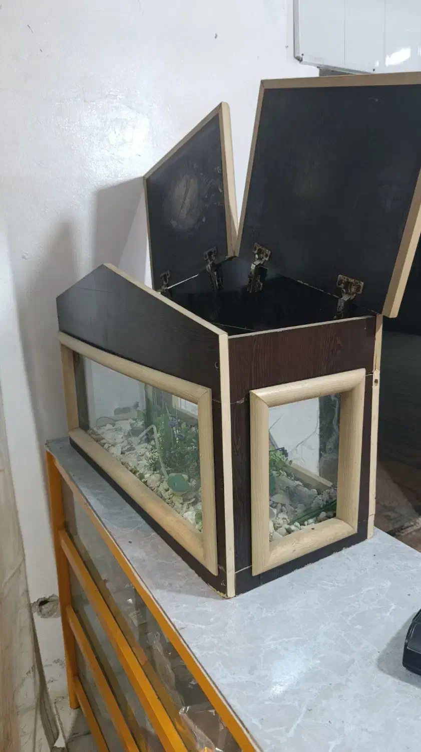 اکواریوم|ماهی|یاسوج, |دیوار