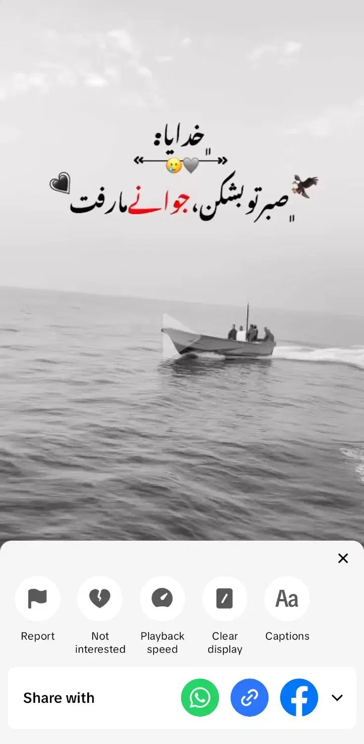 باربری|خدمات حمل و نقل|قشم, |دیوار