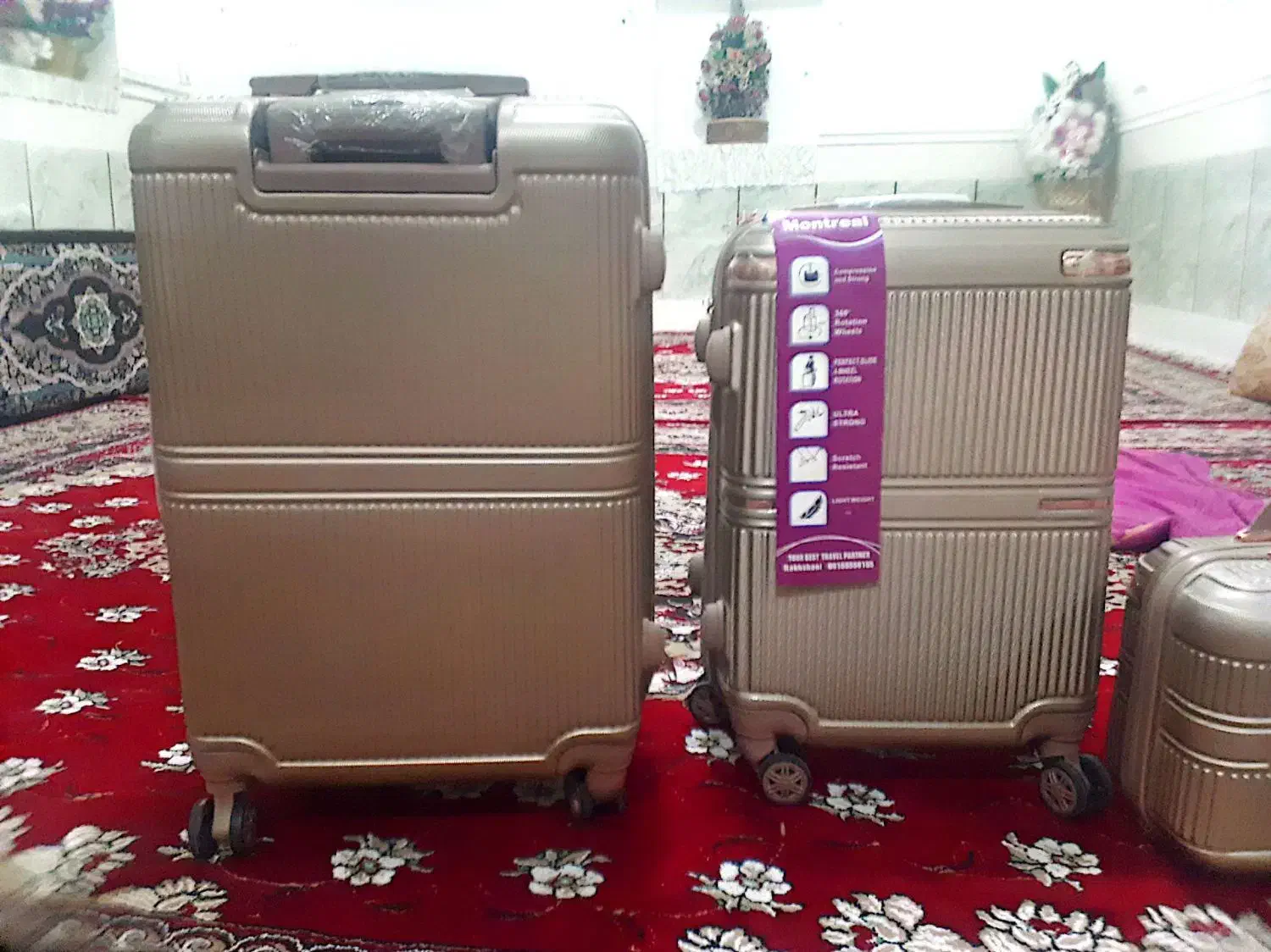 چمدان|کیف، کفش، کمربند|زابل, |دیوار