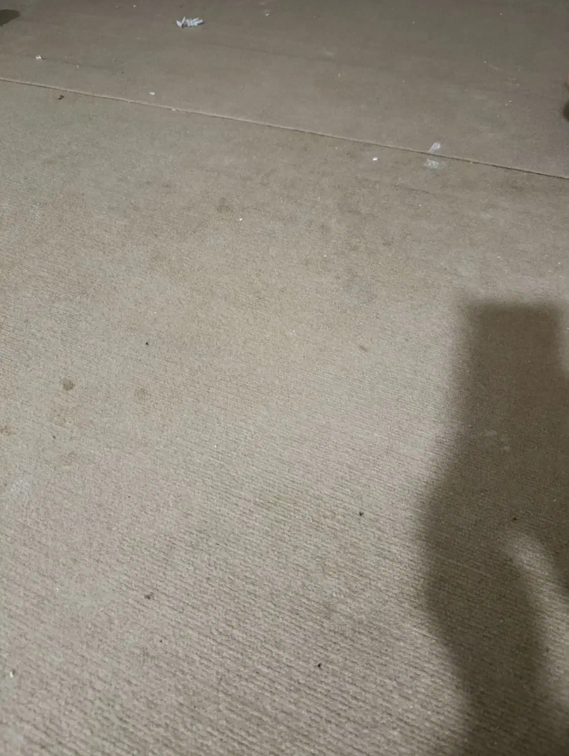 موکت 18متر|موکت|اهواز, کوروش|دیوار