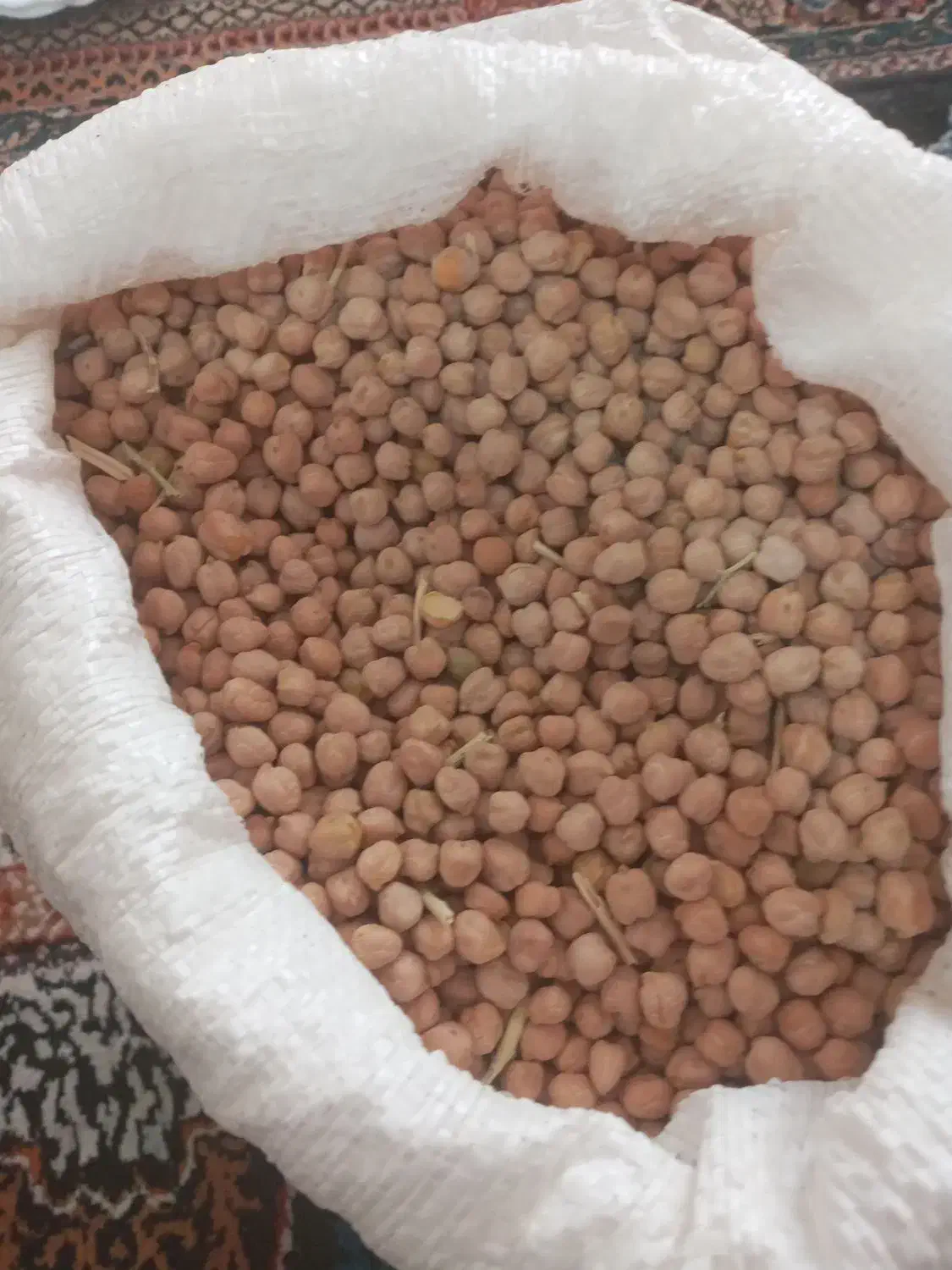 نخود|حراج|الیگودرز, |دیوار