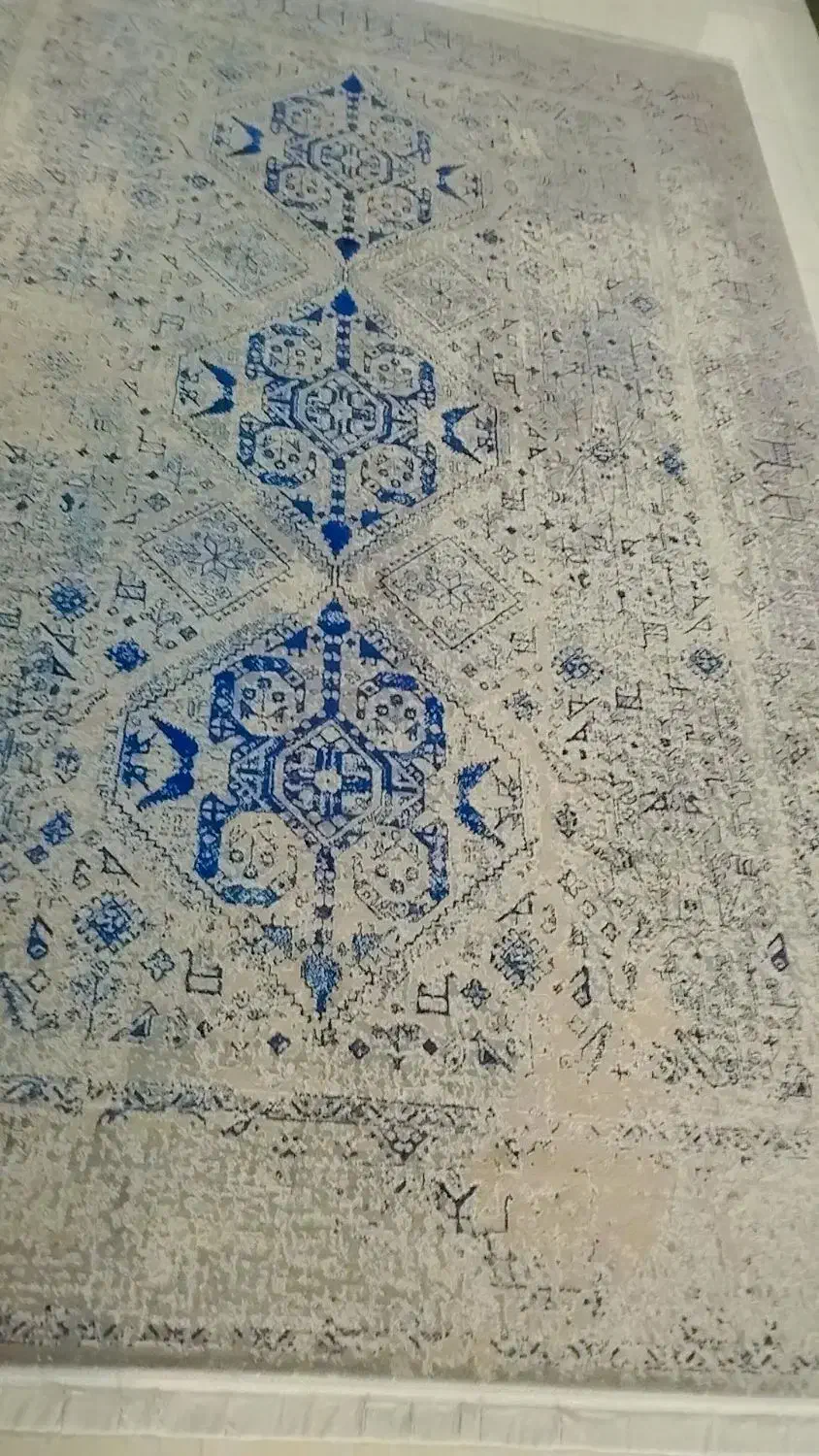 پالاز موکت/|موکت|فردیس, قریشی|دیوار