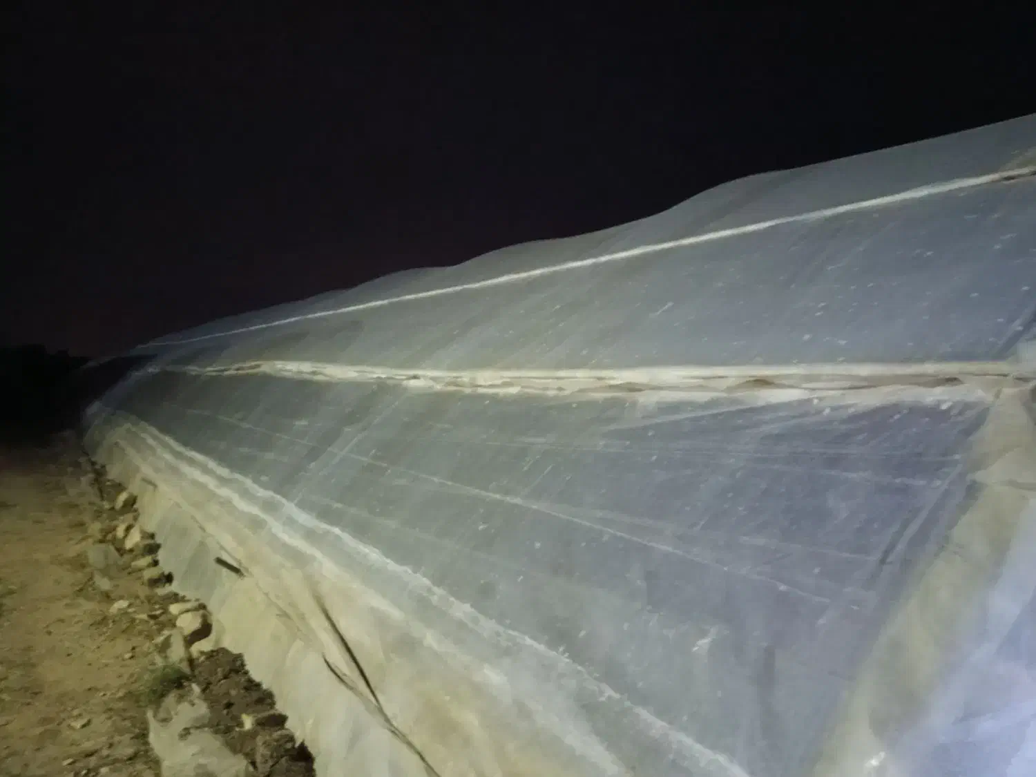 گلخانه اجاره داده میشود|اجارهٔ دفتر صنعتی، کشاورزی، تجاری|انابد, |دیوار