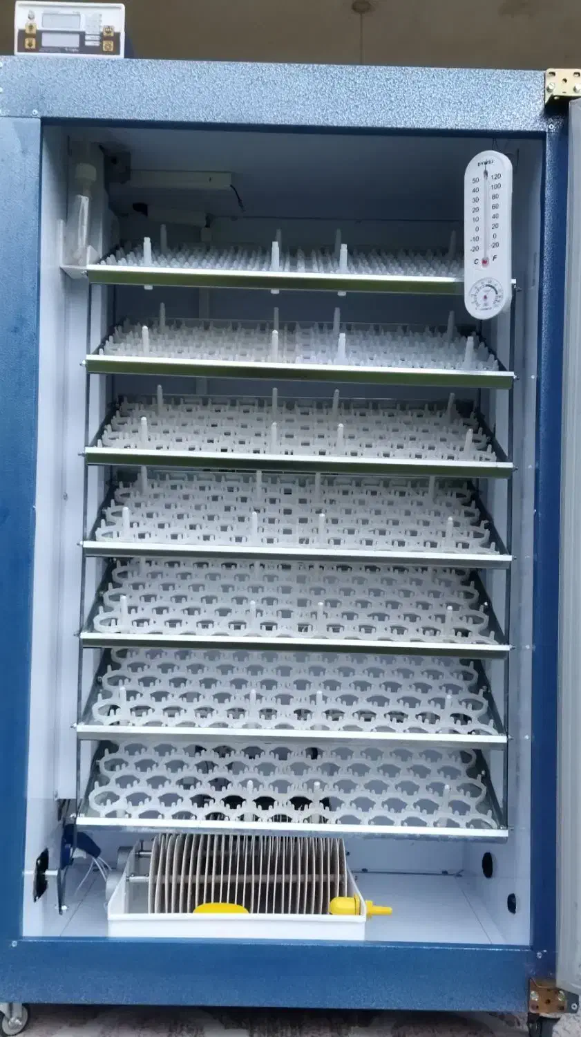 فروش دستگاه جوجه کشی دماوند|لوازم جانبی حیوانات|رشت, بیجارپس|دیوار