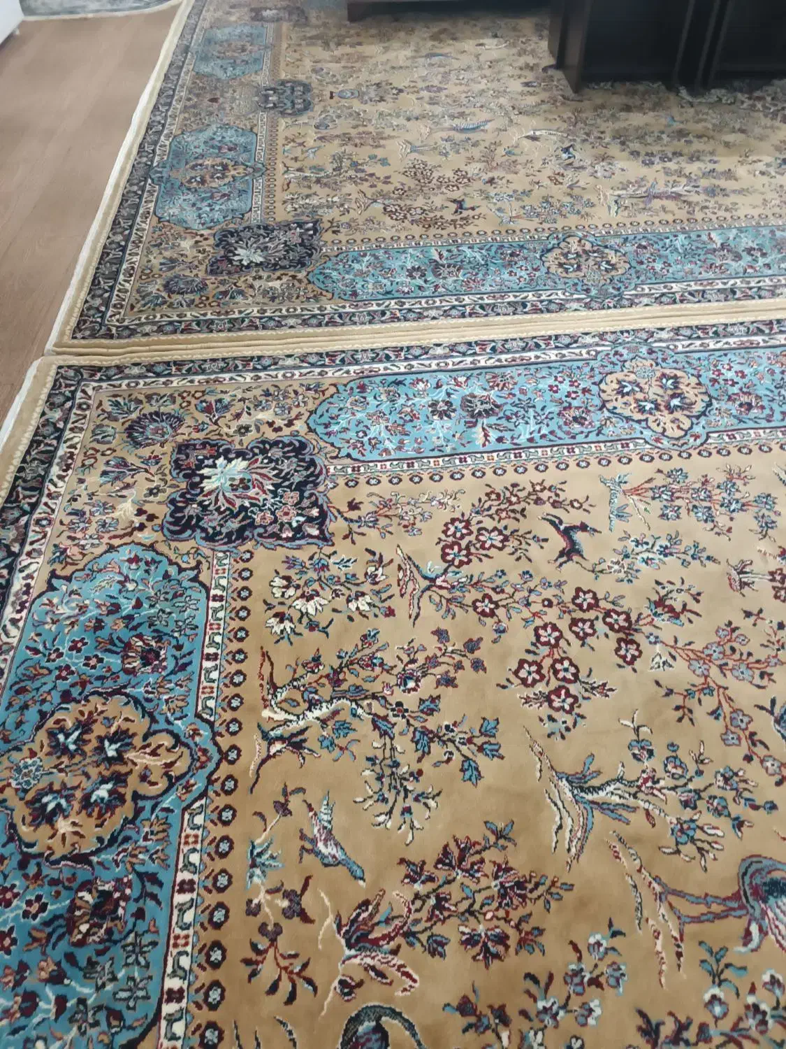 دوتافرش به رنگ گردویی|فرش|گنبد کاووس, |دیوار