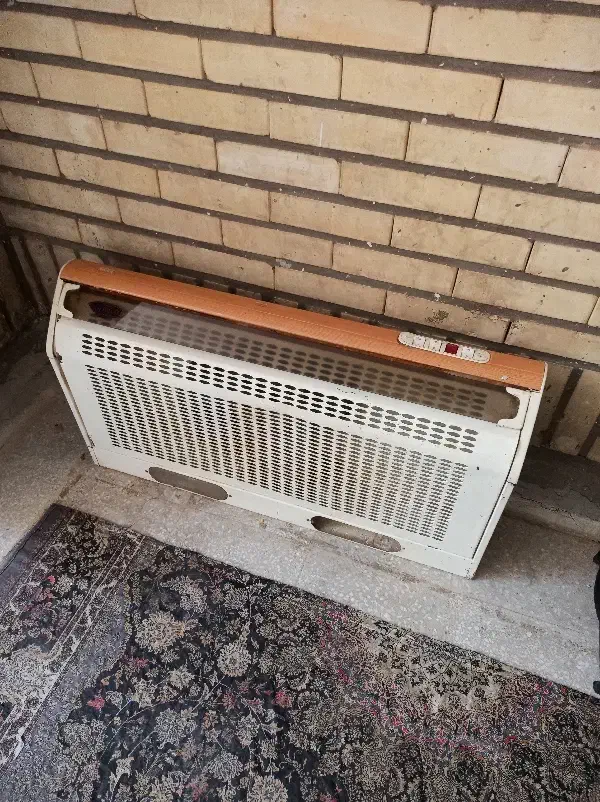 هود|هود|قم, بوستان علوی|دیوار