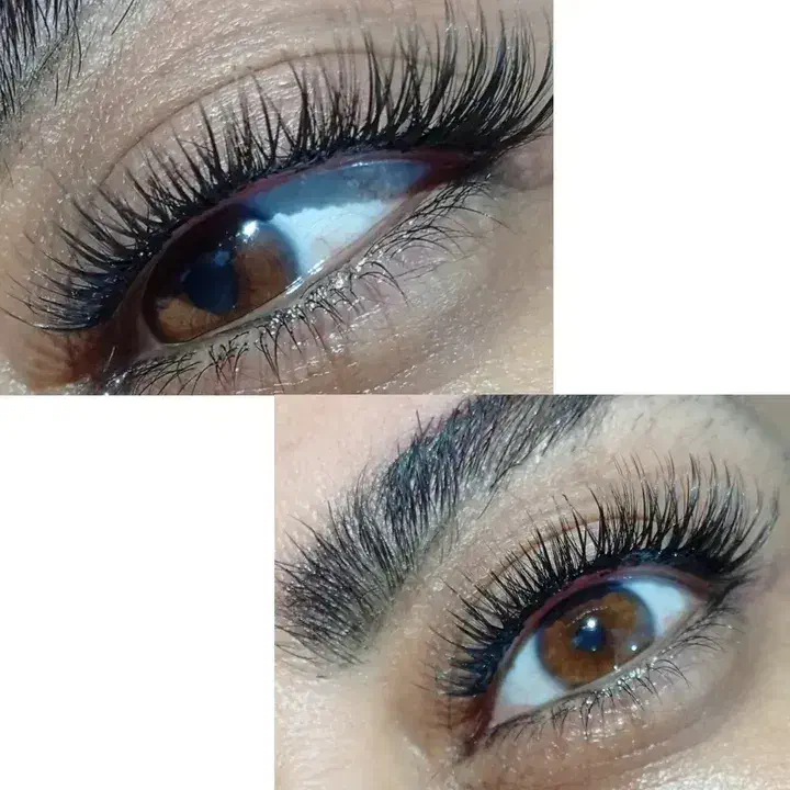 اکستنشن مژه لیفت مژه و ابرو کاشت گیاهی|خدمات آرایشگری و زیبایی|سنندج, |دیوار