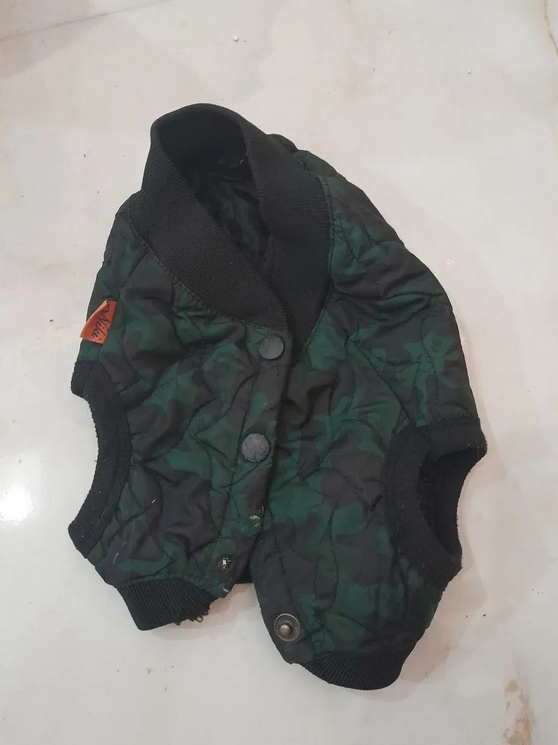 کاپشن سگ|لوازم جانبی حیوانات|تهران, جیحون|دیوار