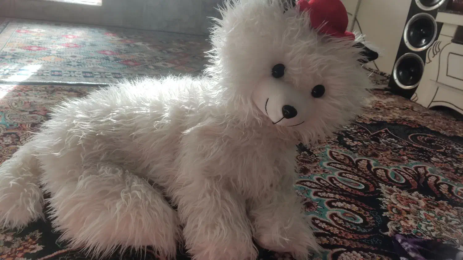 گربه پشمالو برای ویترین مغازه خوبه  تمیز فروشی|اسباب‌بازی بچه|مشهد, کوی سیدی|دیوار