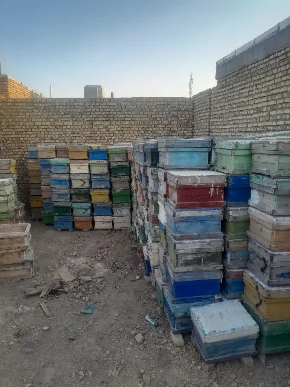 کندو زنبور|عمده‌فروشی|کاشمر, |دیوار