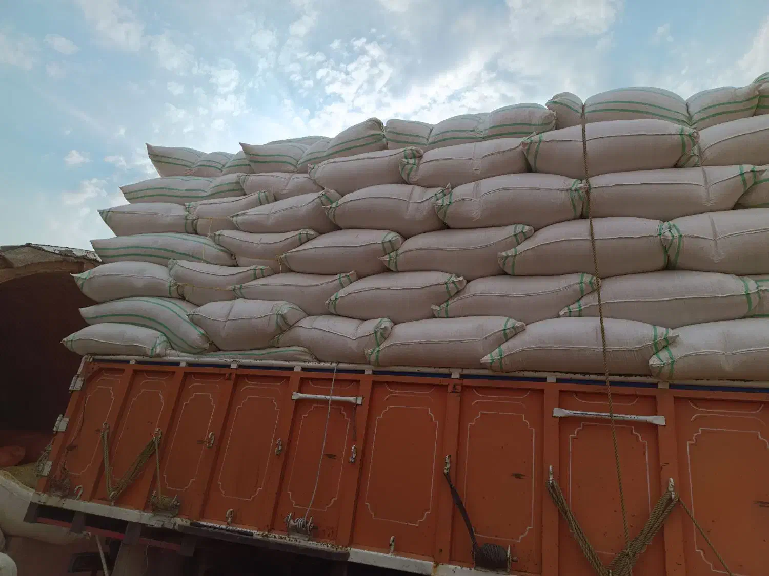 فروش کاه|لوازم جانبی حیوانات|سمنان, |دیوار