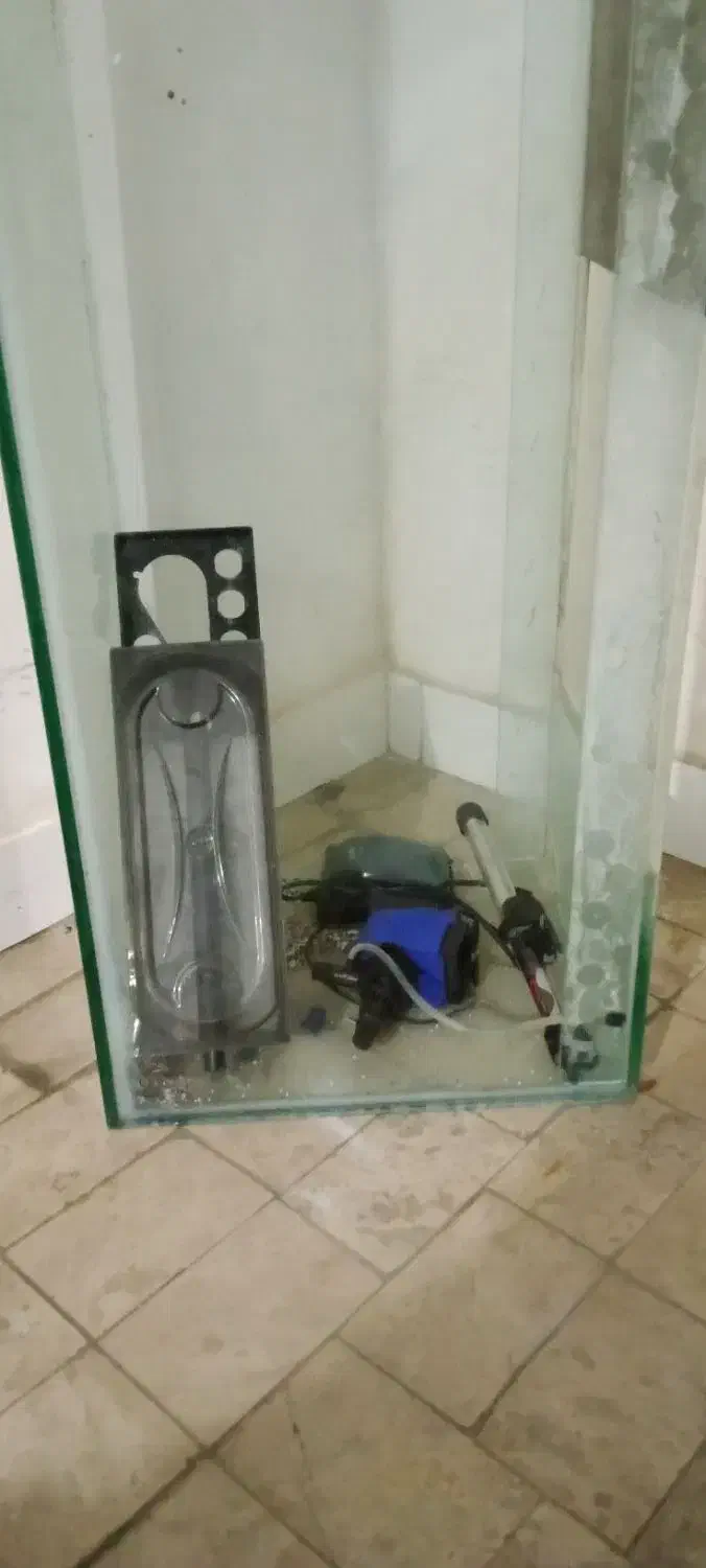 اگواریوم|ماهی|دورود, |دیوار