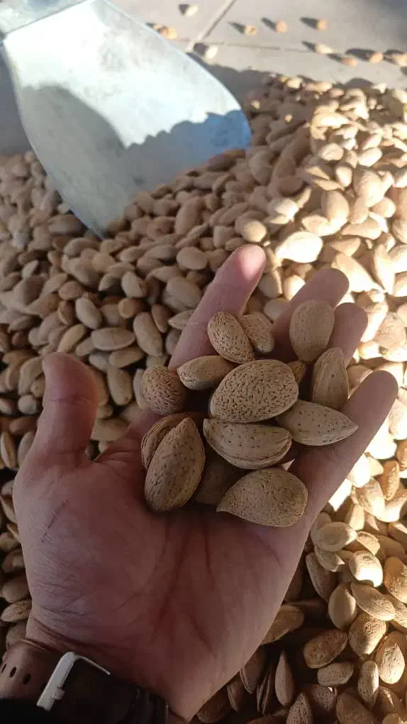 گردو کشمش از۲۰۰تومنی دا رم تا ۴۵۰ت|عمدهفروشی|صائین قلعه, |دیوار