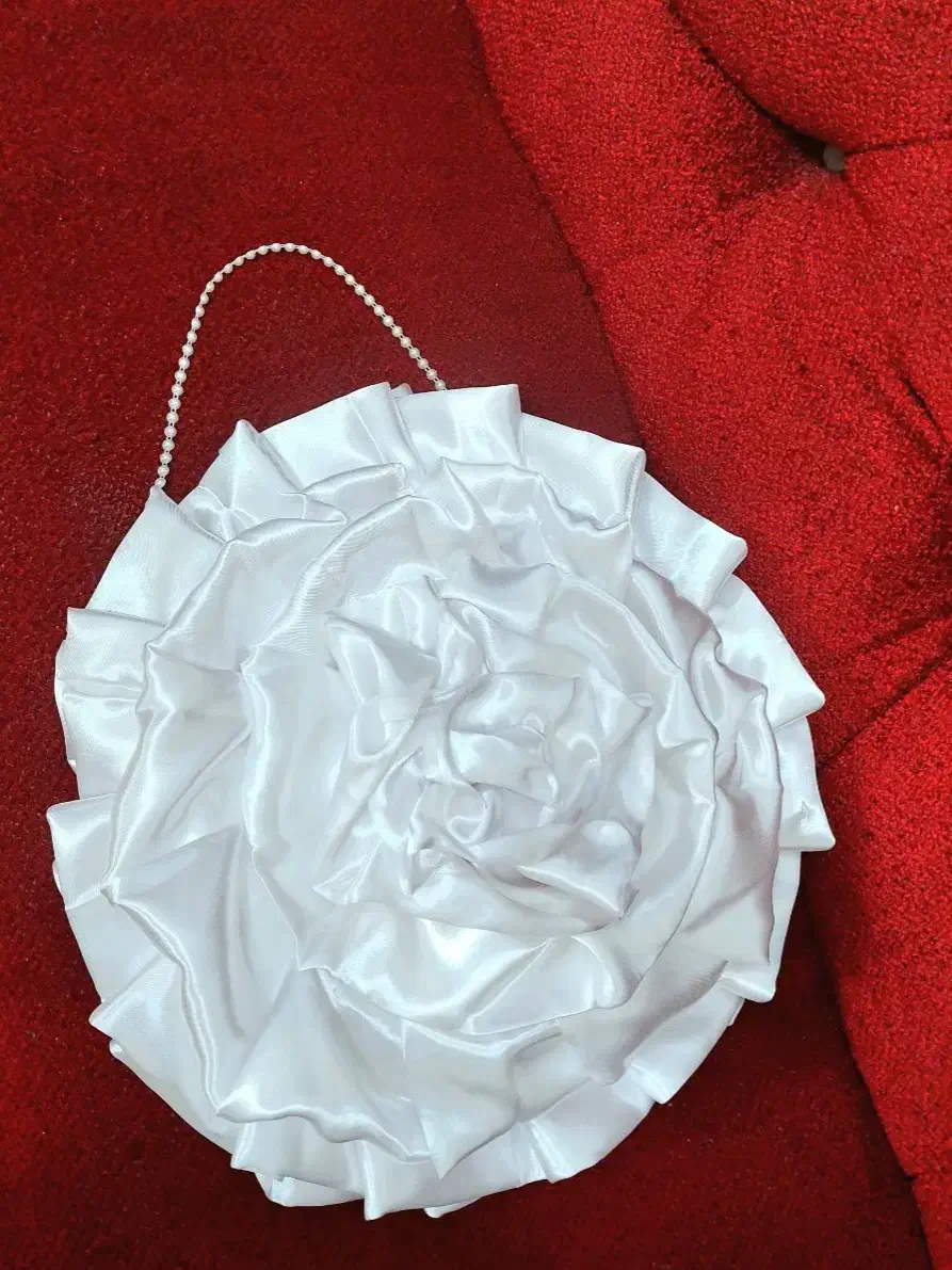 کیف کادو و شاباش و هدایای عروس|کیف، کفش، کمربند|رشت, پاستوریزه|دیوار