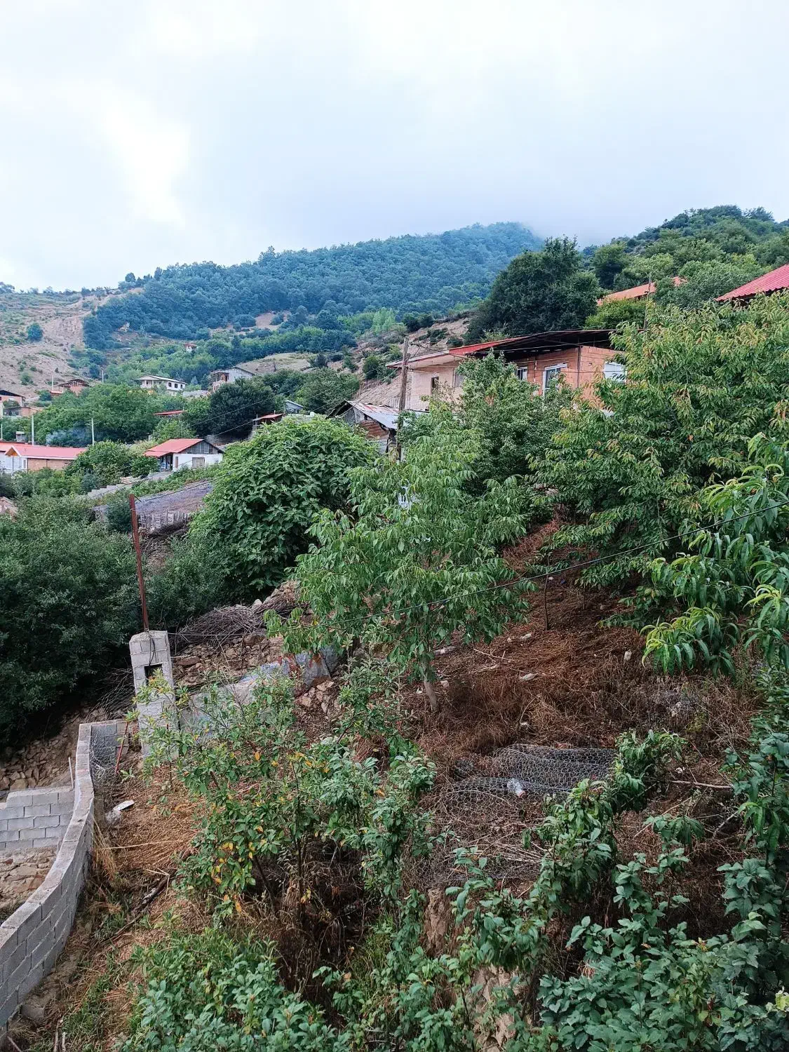 زمین ملکی مسکونی|فروش زمین و ملک کلنگی|مشهد, چاهشک|دیوار