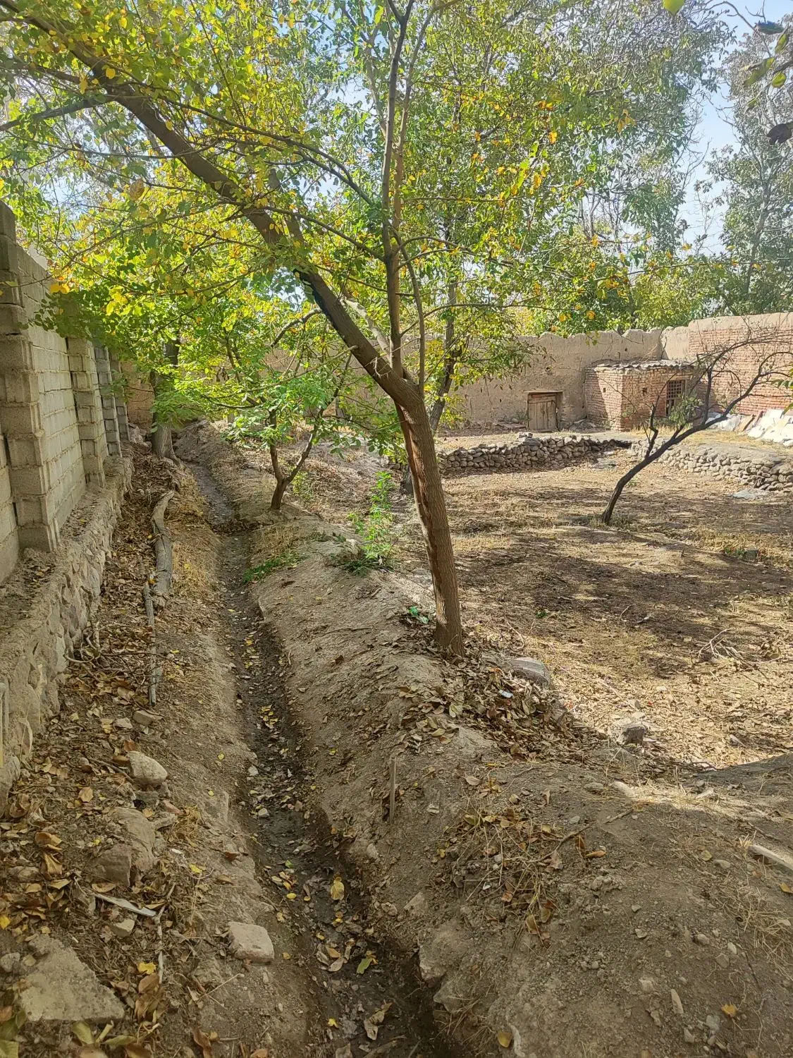 خانه باغچه5400متری انشعابات داربهترین موقعیت اسکو|فروش زمین و ملک کلنگی|اسکو, |دیوار