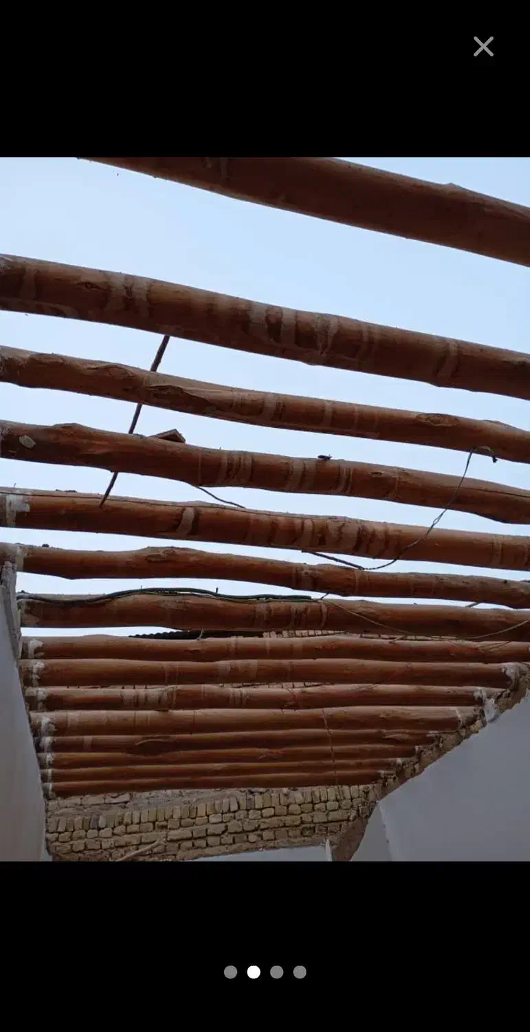 چ وب درآمده اسقف خریداریم سالم وپوسیده|خدمات باغبانی و درختکاری|قیدار, |دیوار