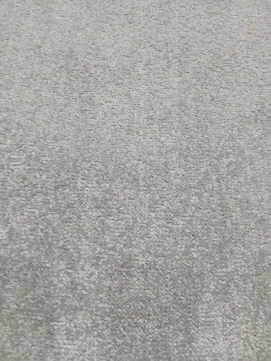 موکت|موکت|مرودشت, ژیان|دیوار