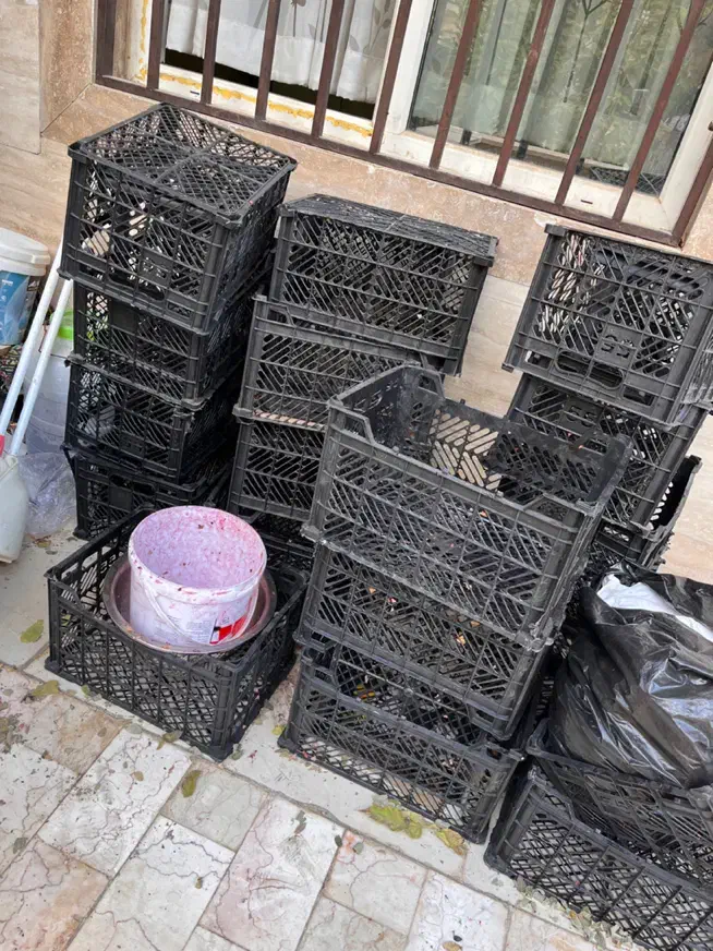 سبد میوه|ظروف نگهدارنده، پلاستیکی، یک‌بارمصرف|دماوند, گیلاوند|دیوار