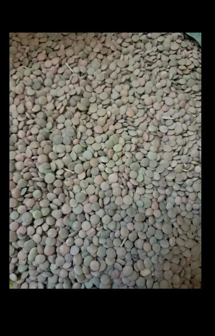 عدس|خوردنی و آشامیدنی|شباب, |دیوار