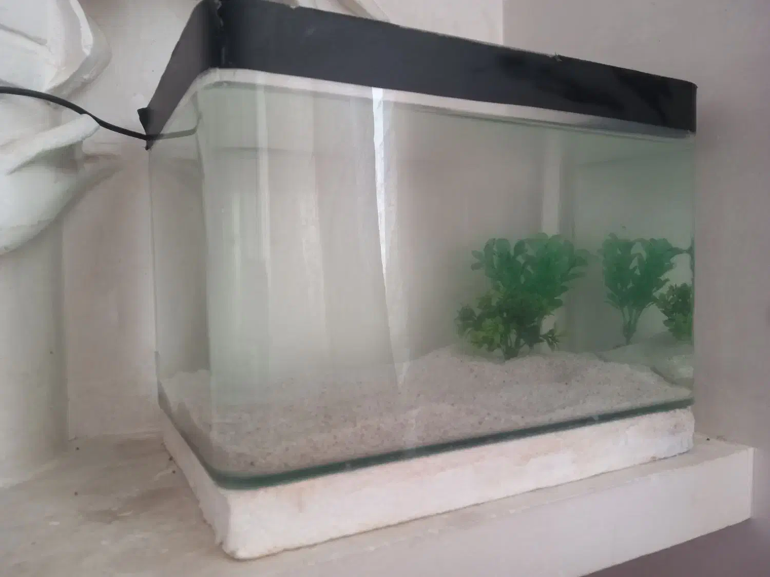 آکواریوم شیشه خم|ماهی|قدس, شهر‌قدس|دیوار