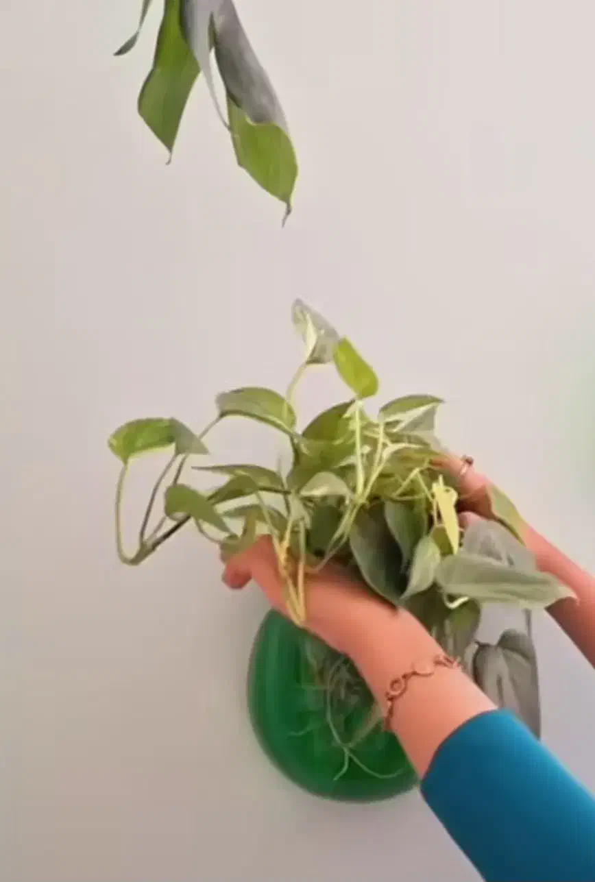 گلدان دیواری|گل مصنوعی|فردیس, قریشی|دیوار