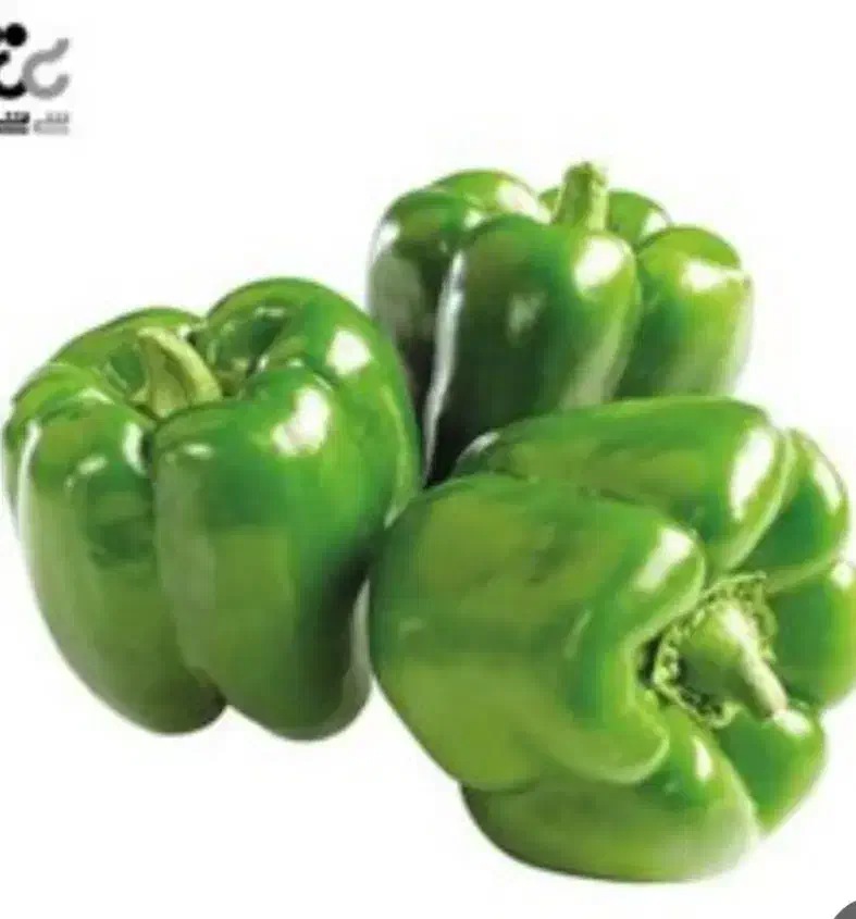 فلفل دلمه|خوردنی و آشامیدنی|فولادشهر, B2|دیوار