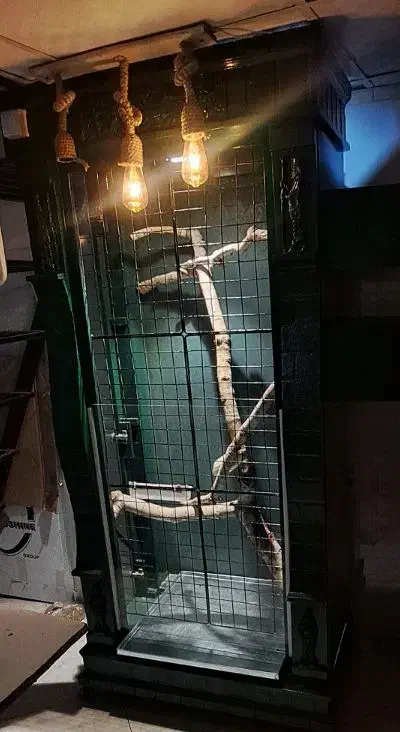 قفس پرنده|لوازم جانبی حیوانات|قائن, |دیوار