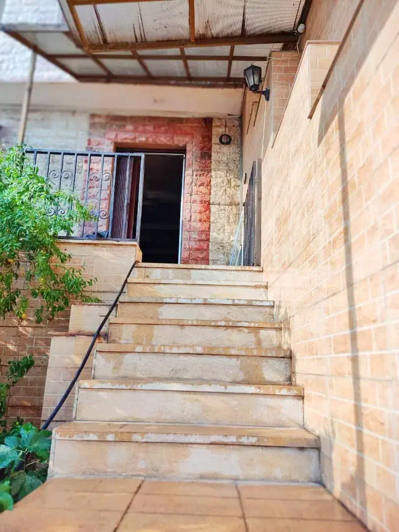 316 متر ویودار و زیبا