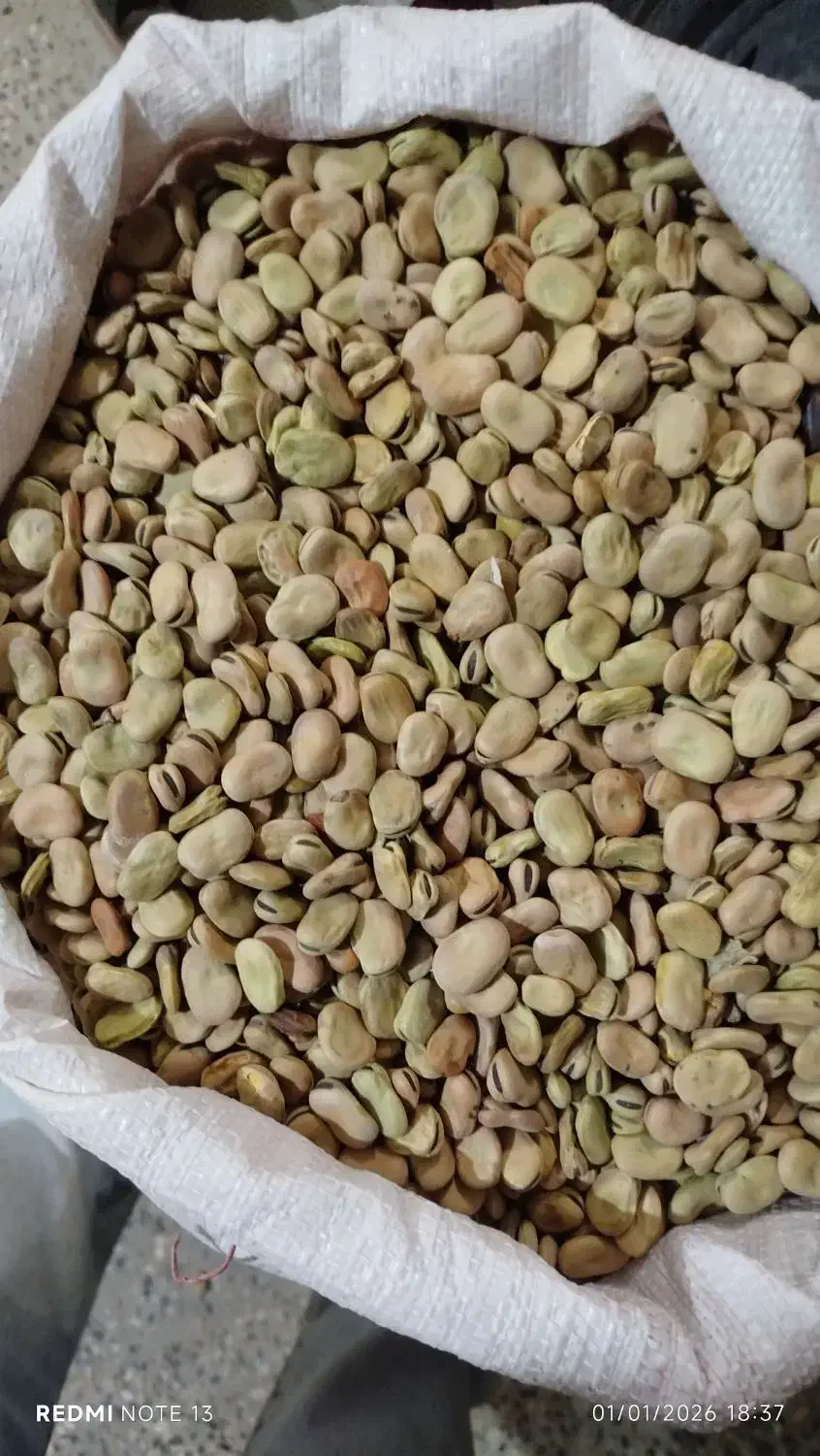 باقله بوجار شده|خوردنی و آشامیدنی|خرم‌آباد, |دیوار