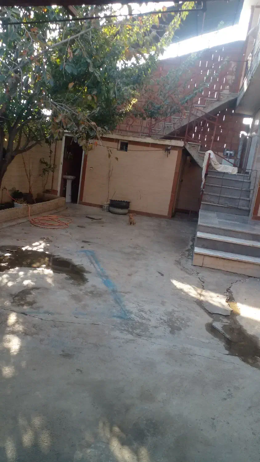 خانه ویلای فروشی|فروش خانه و ویلا|مینودشت, |دیوار