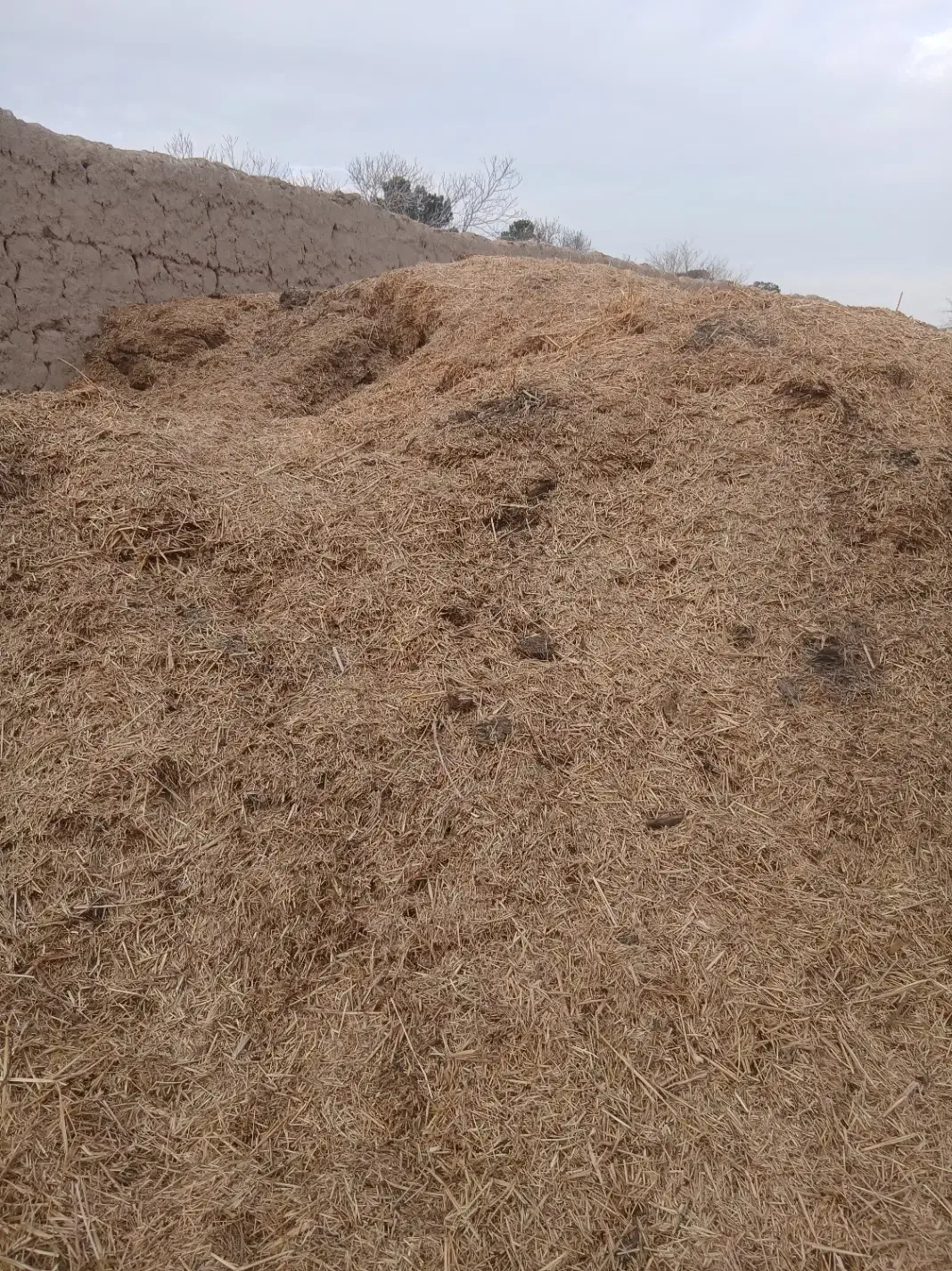 کاه|حیوانات مزرعه|جوادآباد, |دیوار