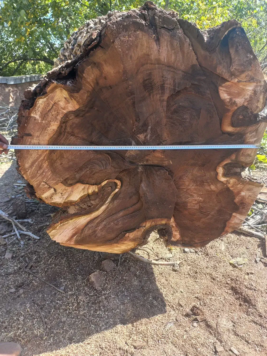 فروش چوب گردو قدیمی قهوه ای|عمده‌فروشی|مزایجان, |دیوار