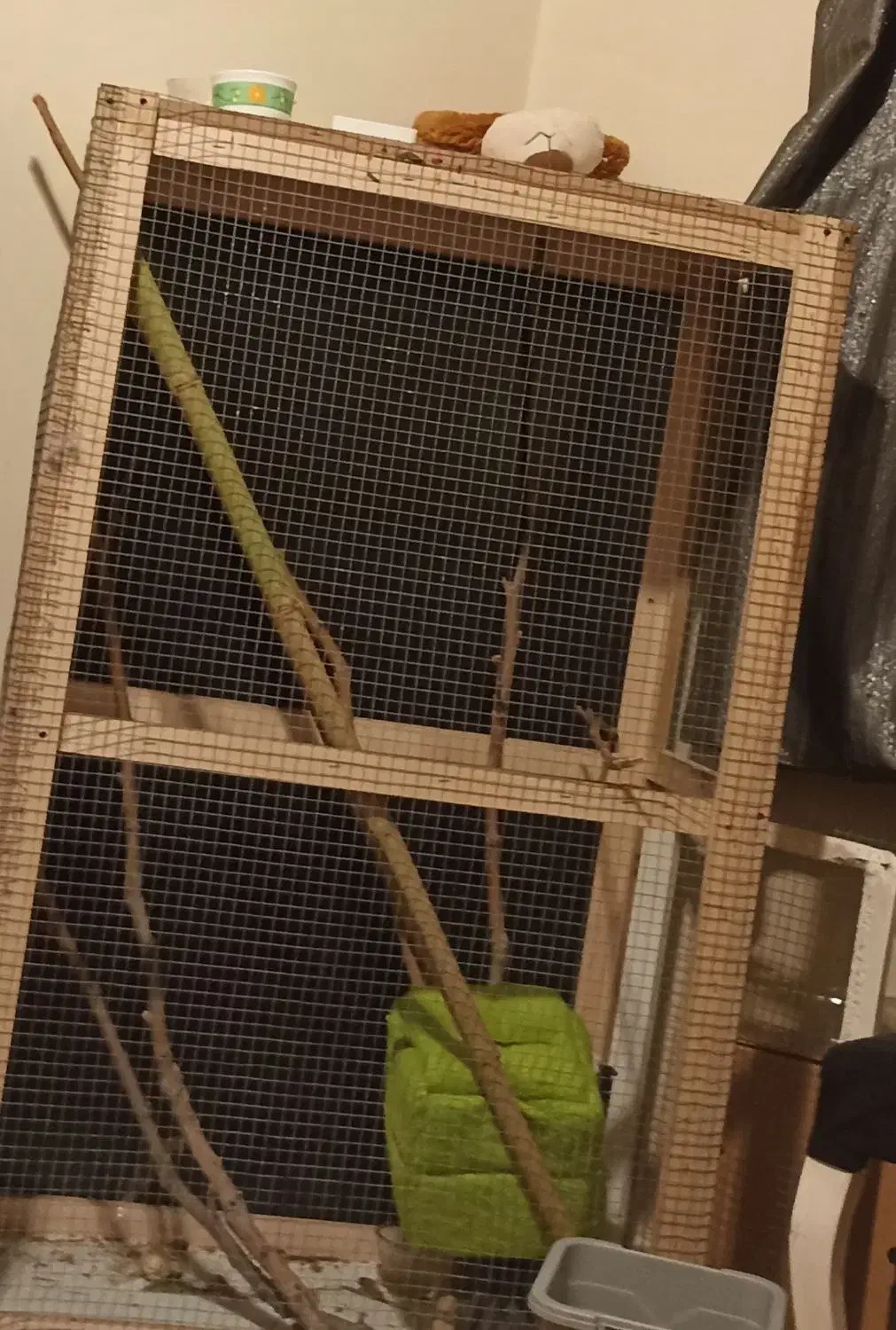 وسایل سنجاب|لوازم جانبی حیوانات|تهران, علم و صنعت|دیوار