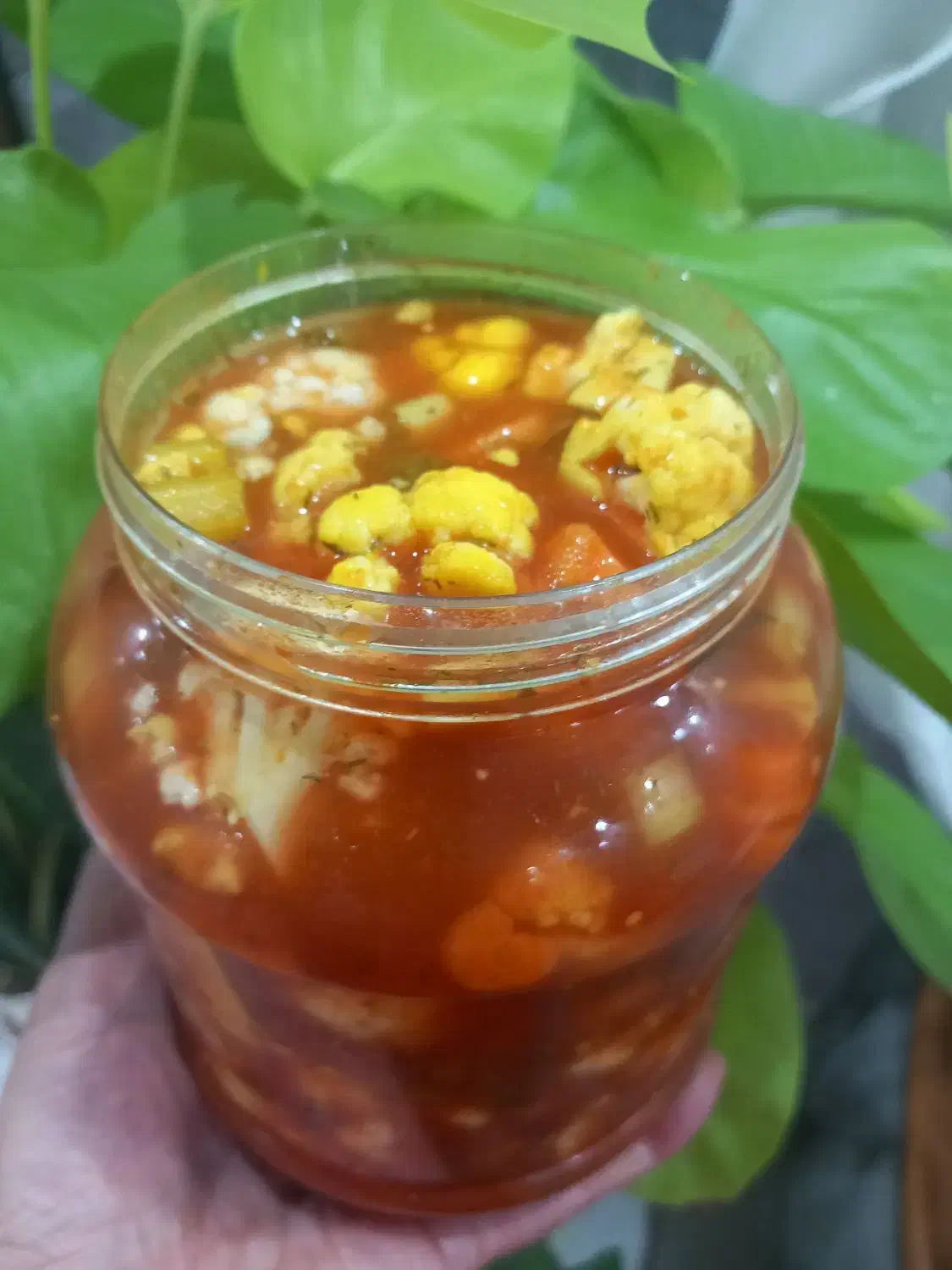 برنج هاشمی درجه یک ترشیجات|خوردنی و آشامیدنی|هشتگرد, سعید آباد|دیوار