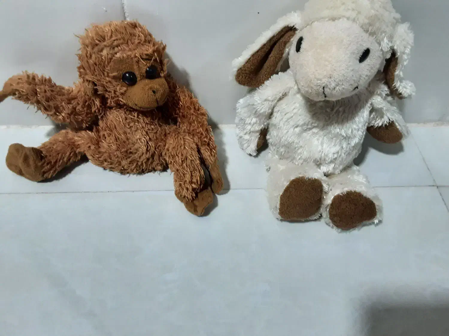 عروسک|اسباببازی|تربتحیدریه, مظفریه|دیوار