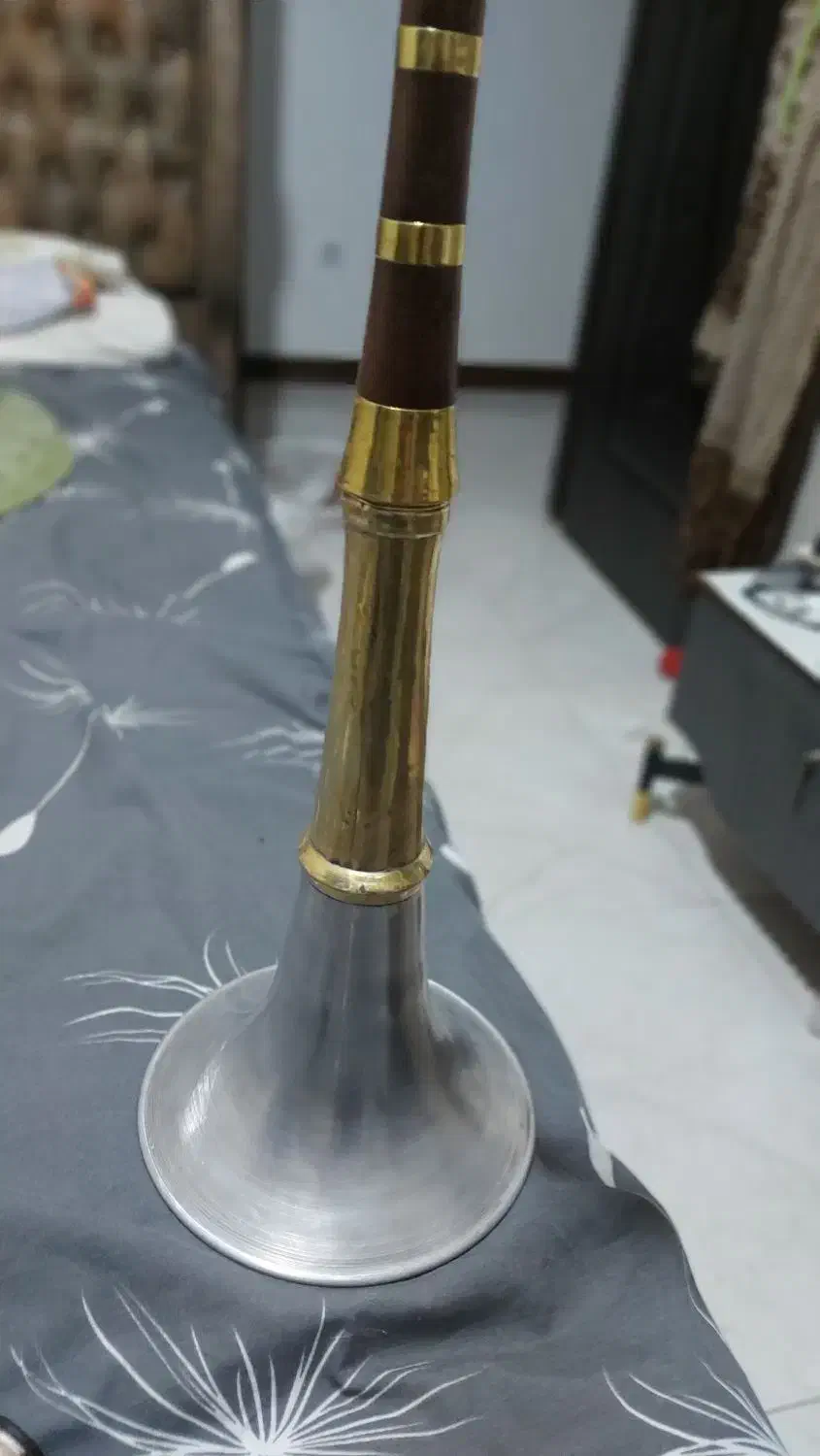 دوعدد کرنا|سازهای بادی|شیراز, بهارستان|دیوار