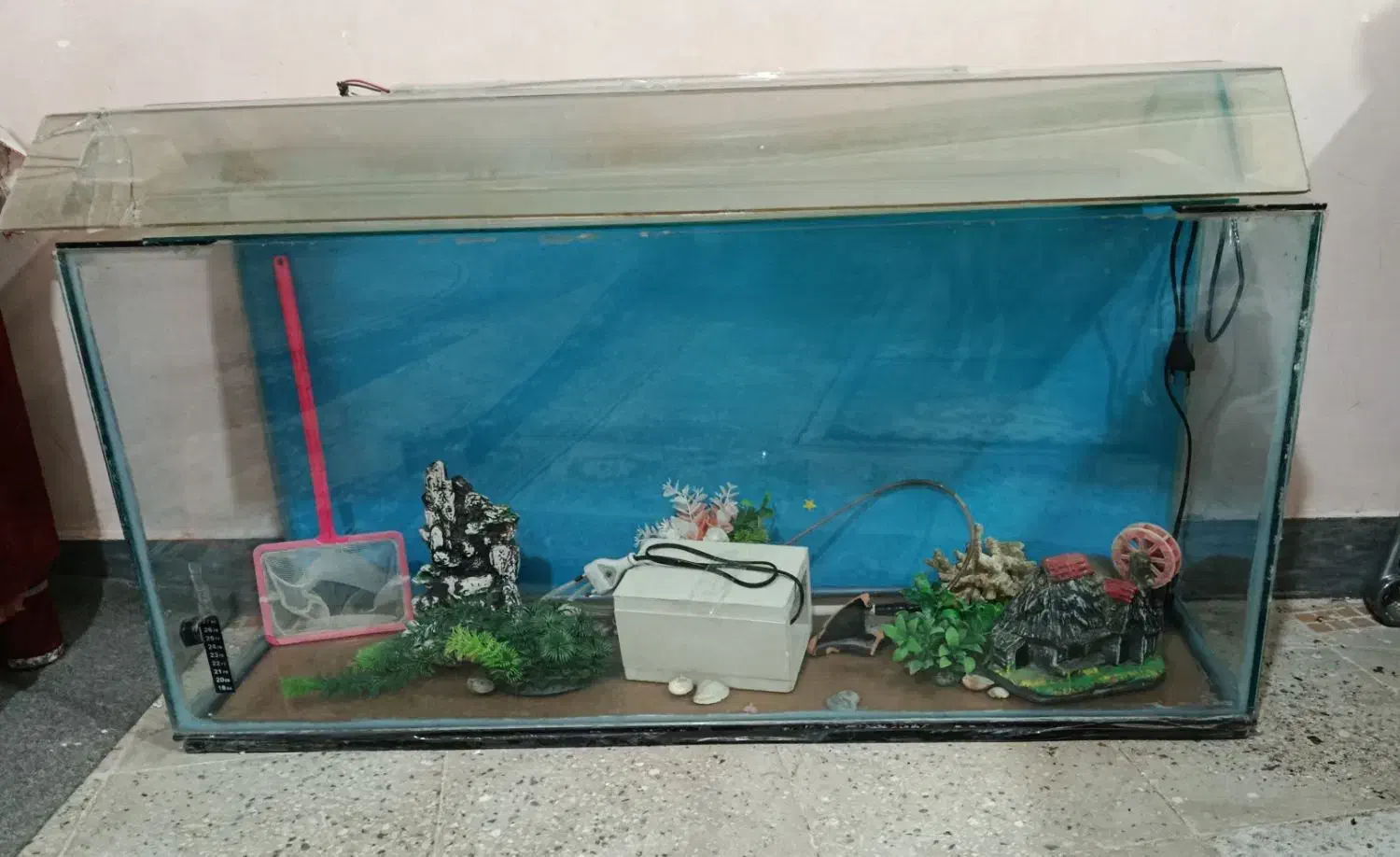 اکواریوم|ماهی|بروجرد, |دیوار