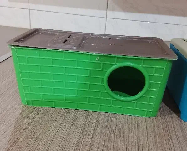 دو عدد لانه مرغ عشق|لوازم جانبی حیوانات|ری, دیلمان|دیوار