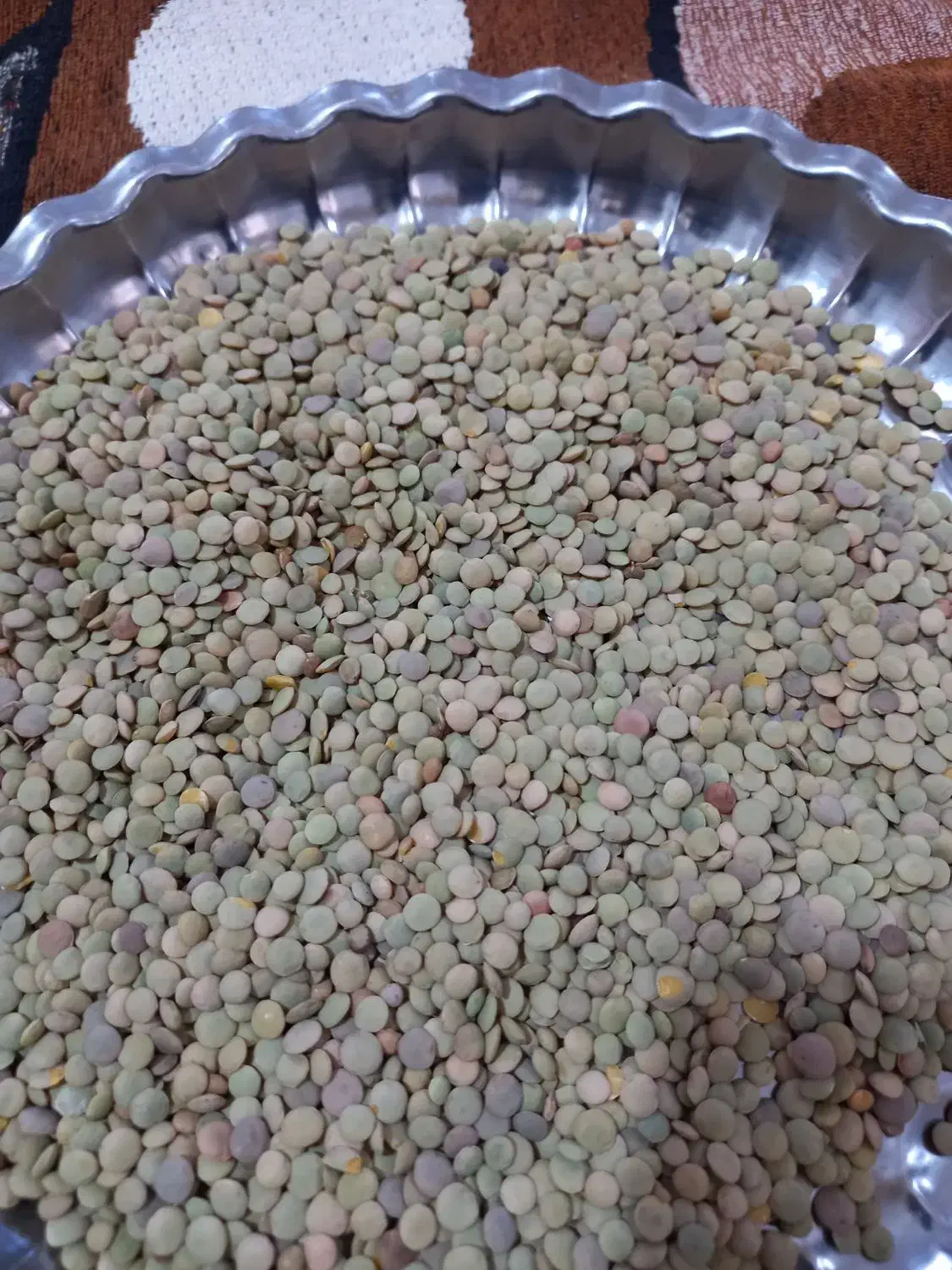 عدس|خوردنی و آشامیدنی|قرچک, مهدیه|دیوار