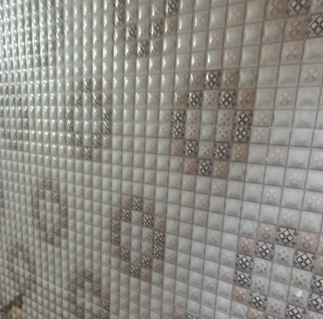 سرامیک|مصالح و تجهیزات ساختمان|رشت, یخسازی|دیوار