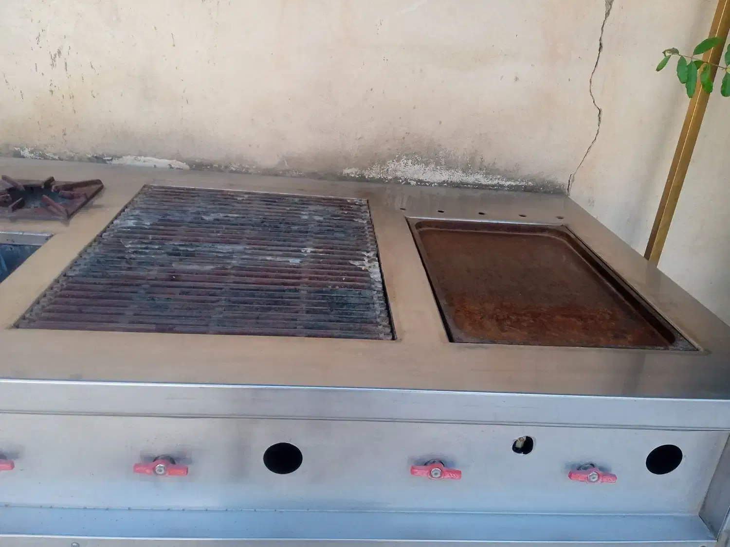 فر فست فود|کافی‌شاپ و رستوران|کوهسار (البرز), |دیوار