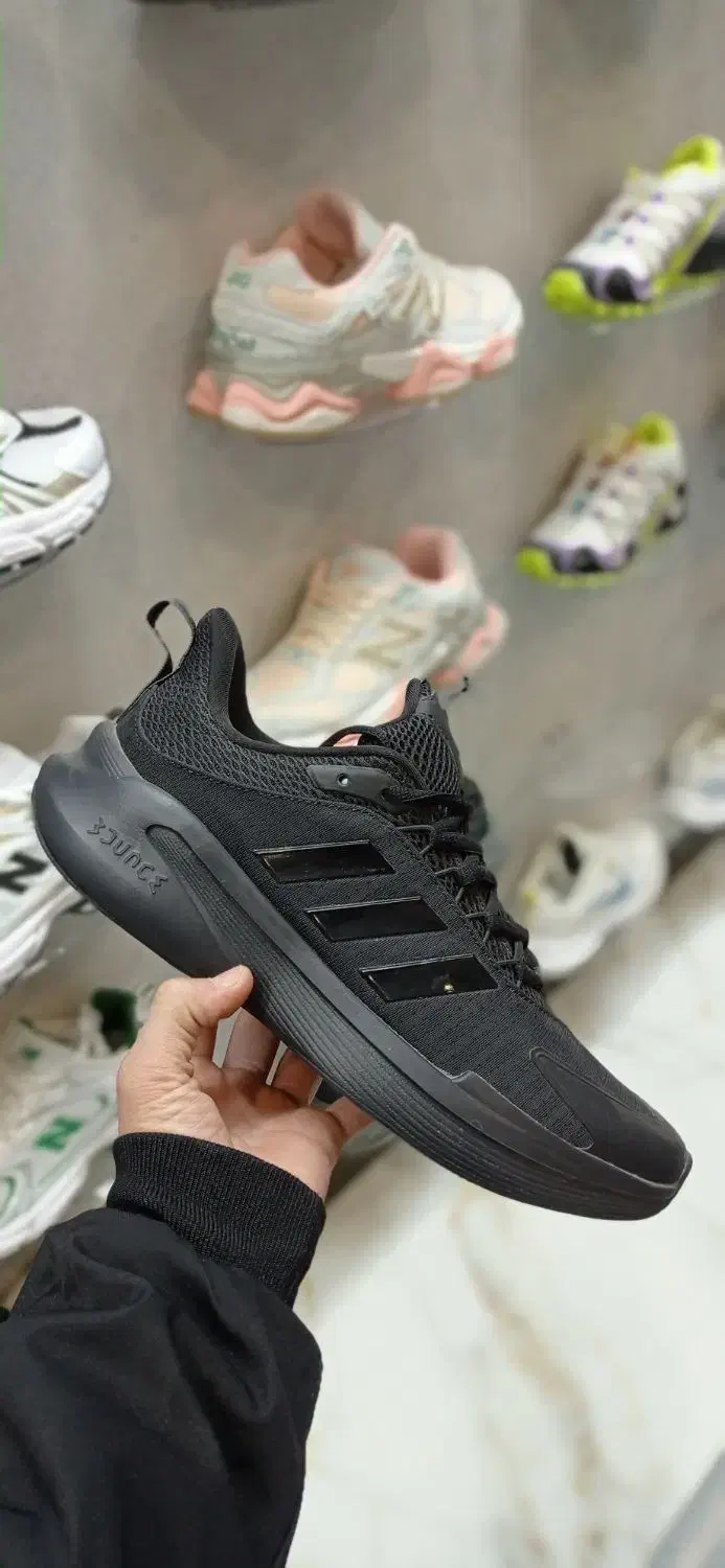 کتونی آدیداس|کیف، کفش، کمربند|بانه, |دیوار