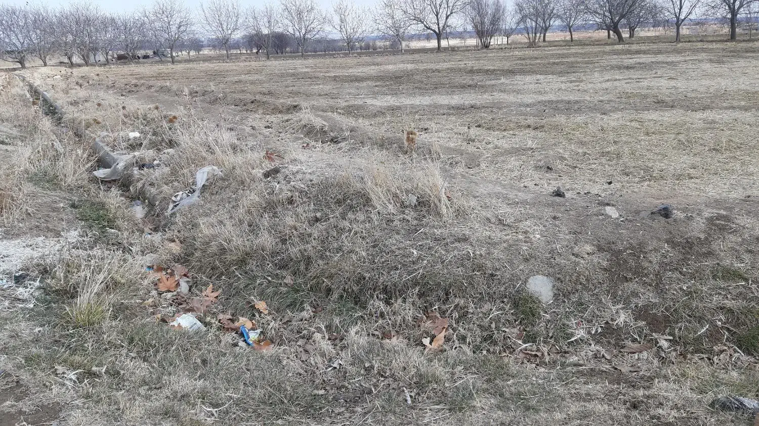 زمین اشترینان جهت ویلا باغ|فروش زمین و ملک کلنگی|اشترینان, |دیوار