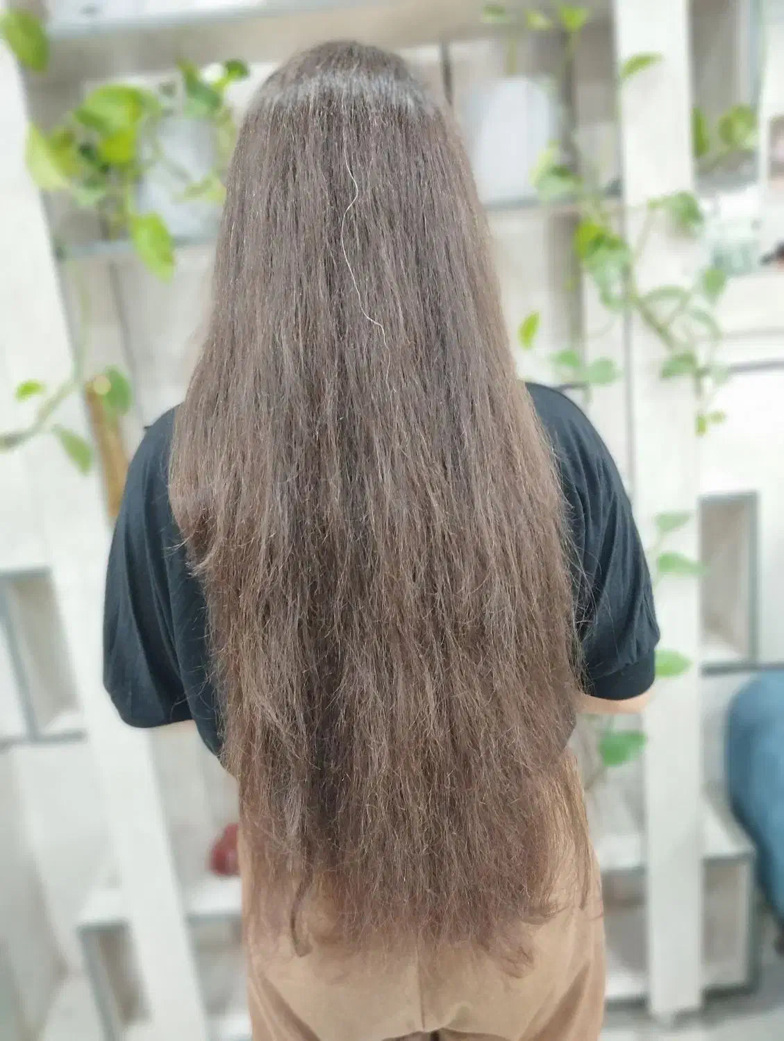 نیازمند مدل کراتین،احیا،ابریشم سازی باضمانت|خدمات آرایشگری و زیبایی|شیراز, عادل آباد|دیوار
