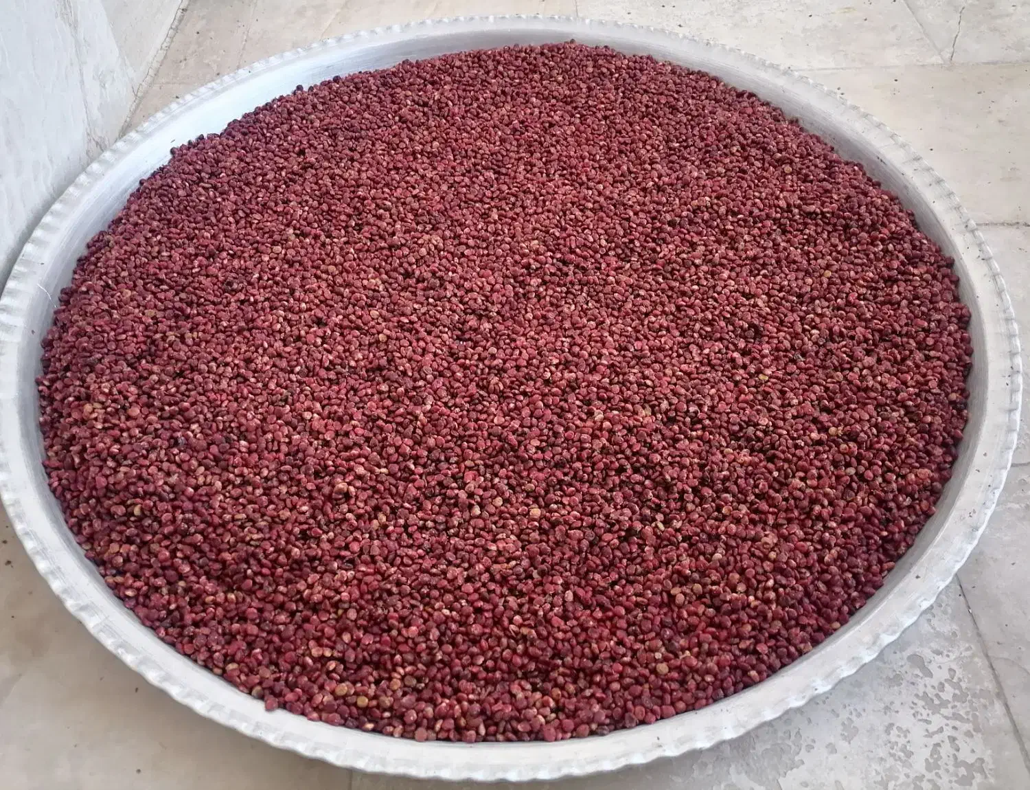 سماق اعلاء|خوردنی و آشامیدنی|اشتهارد, |دیوار