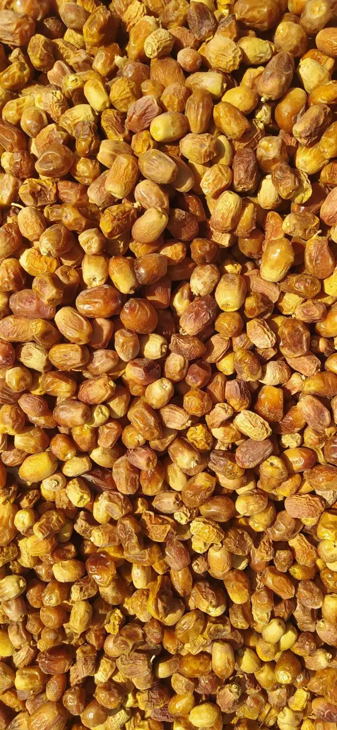 قصب پاک شده|عمده‌فروشی|فراشبند, |دیوار