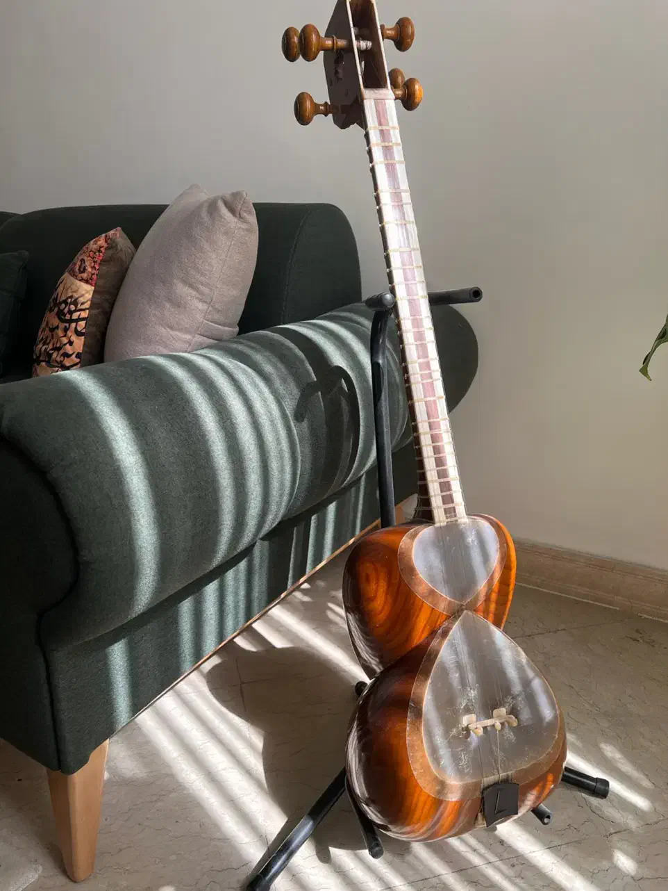 تار جلیل صالحی|سازهای سنتی|تهران, بهار|دیوار