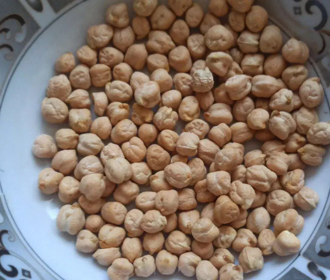 نخودمنصور بوجاری شده تمیز و‌درجه1|عمده‌فروشی|جوانرود, |دیوار