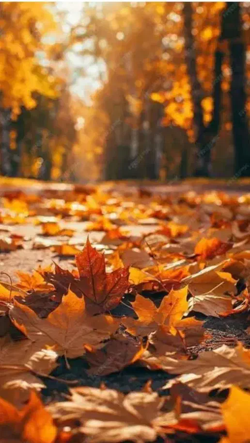 راهنمایی کار در منزل|فعالیت داوطلبانه تحقیقاتی|سنندج, |دیوار